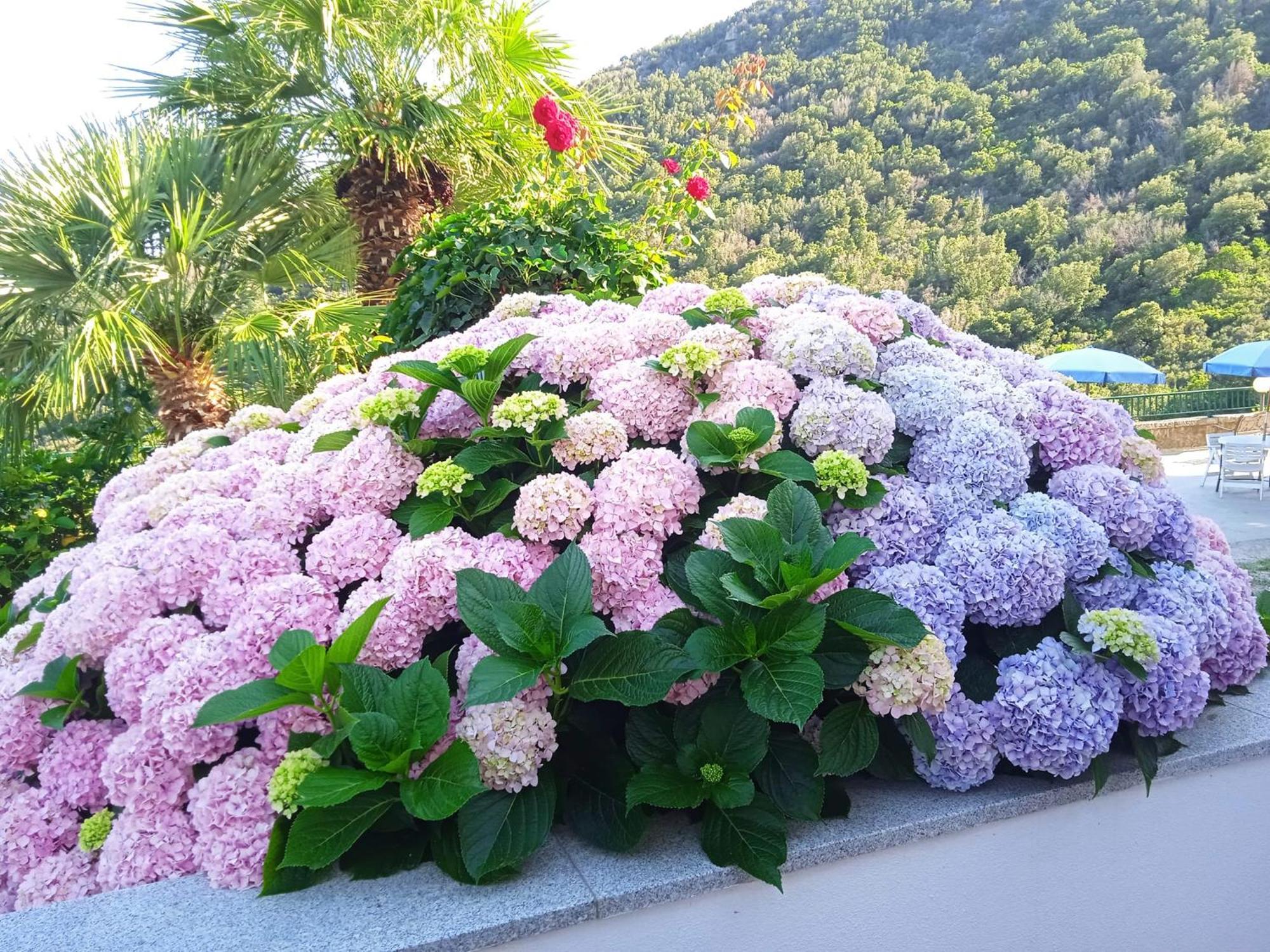 Locanda Dell'Amicizia 瑟克罗 外观 照片