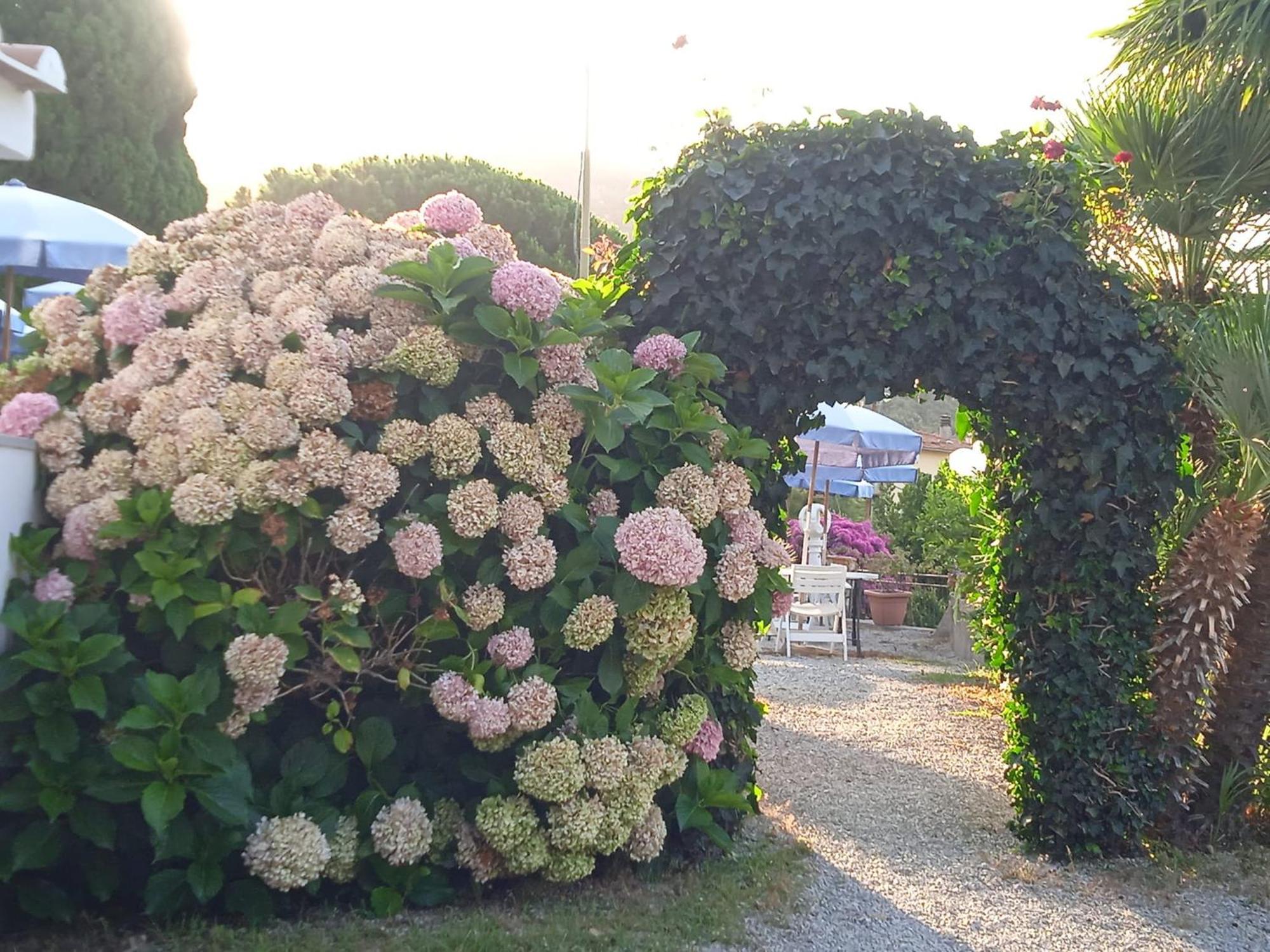 Locanda Dell'Amicizia 瑟克罗 外观 照片