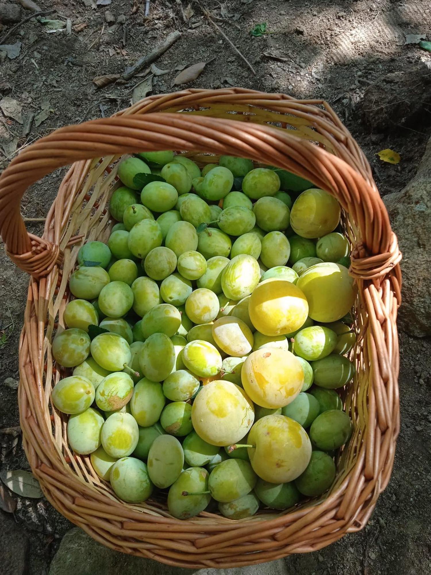 Locanda Dell'Amicizia 瑟克罗 外观 照片